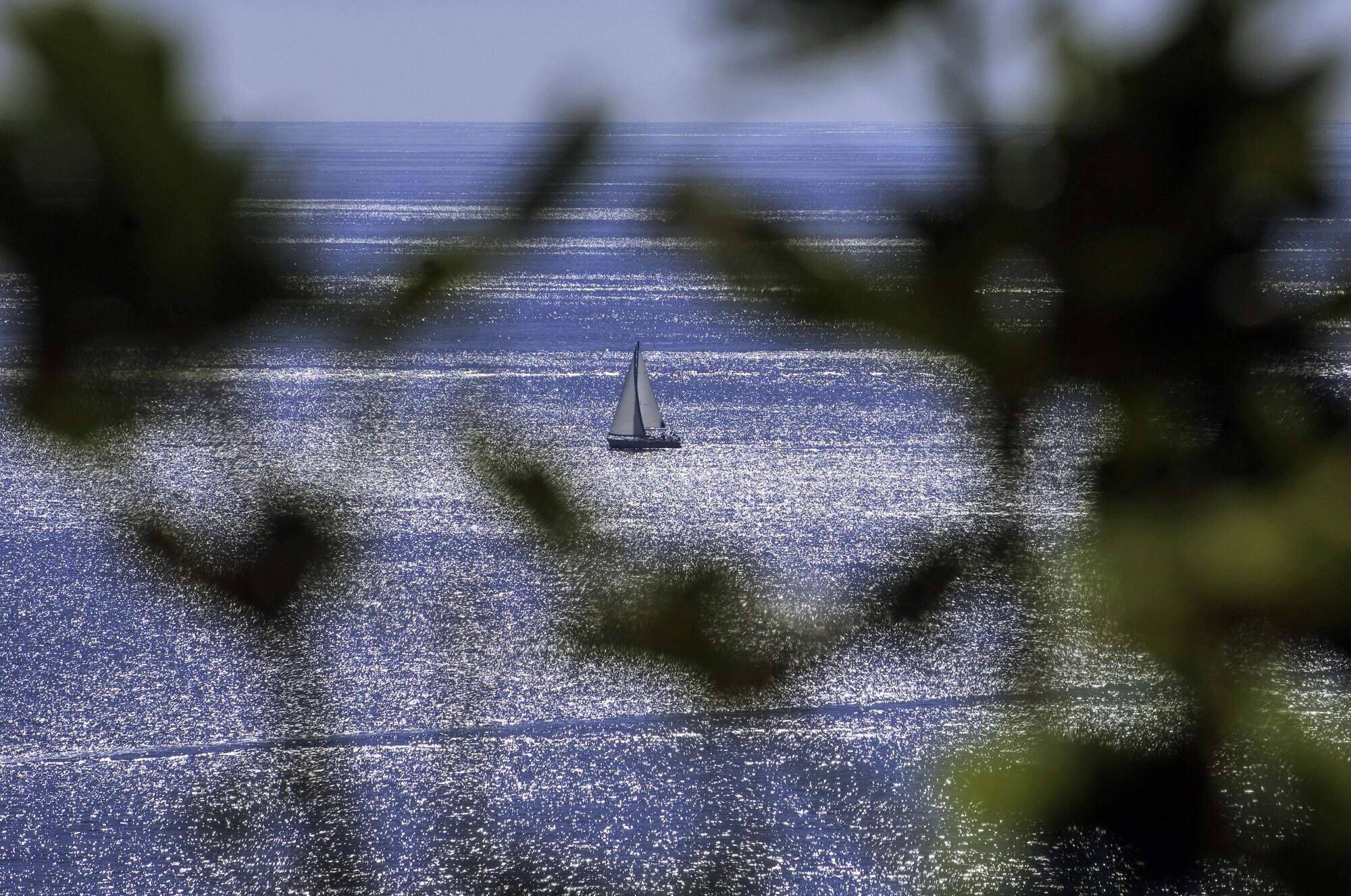 Rivalmare Beach Boutique Hotel - New! Novigrad Istria المظهر الخارجي الصورة